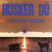 capa do disco New Day Rising